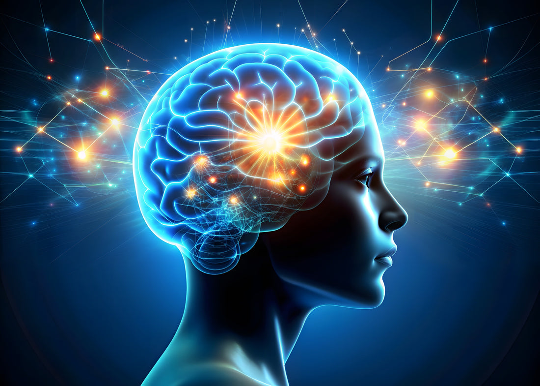 Understanding Intelligence and Brain Function