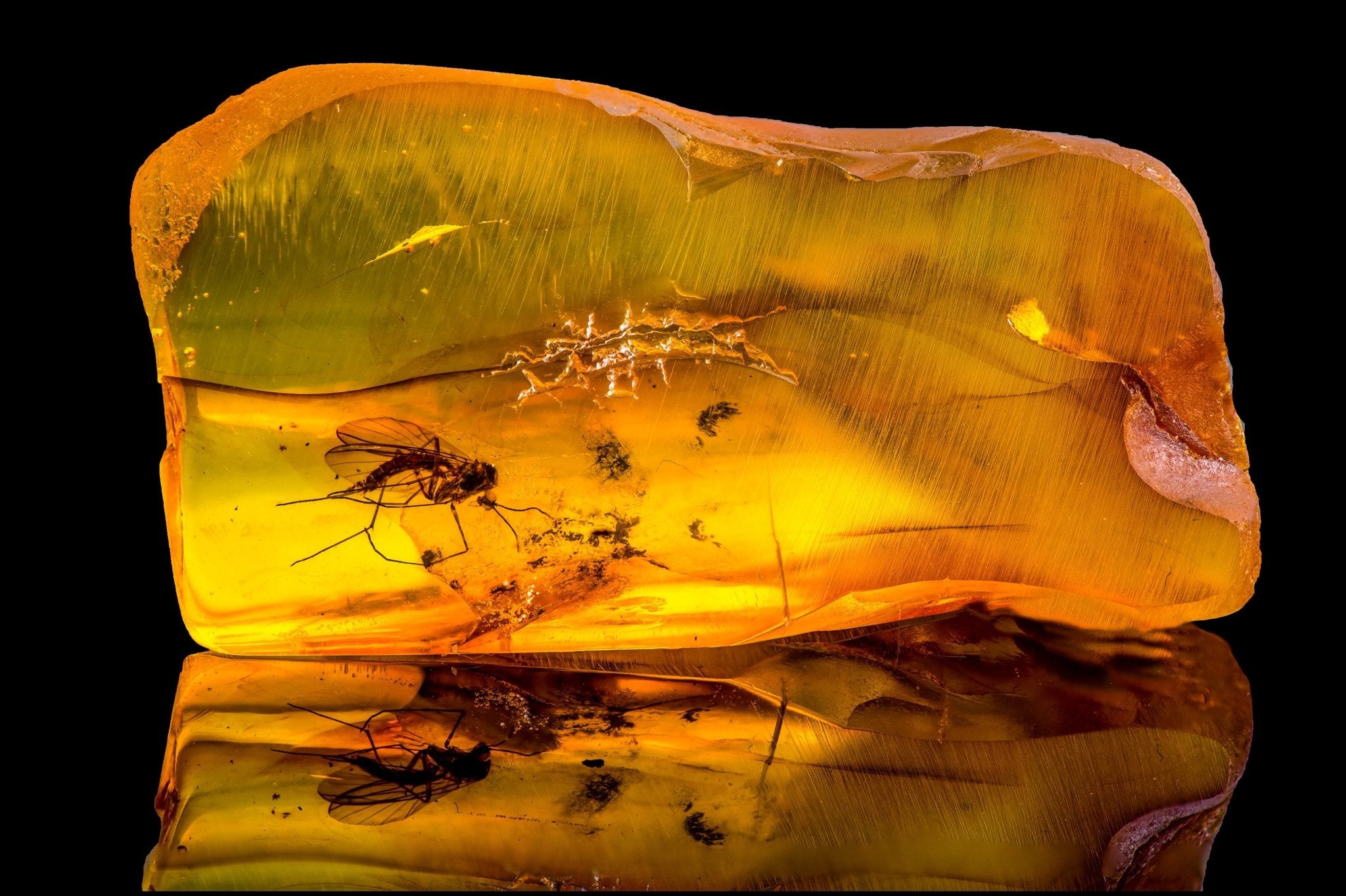 MAGICAL AMBER With Bug INCLUSION/ Self/Standing Specimen Gorgeous Shape/ Unique Translucent Water Clarity Genuine BalticAmber/ buy ForCollectors