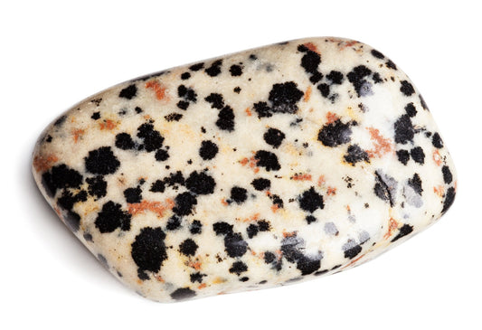 Dalmatian jasper - www.Crystals.eu