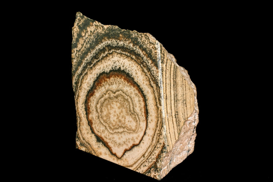 Stromatolite - www.Crystals.eu