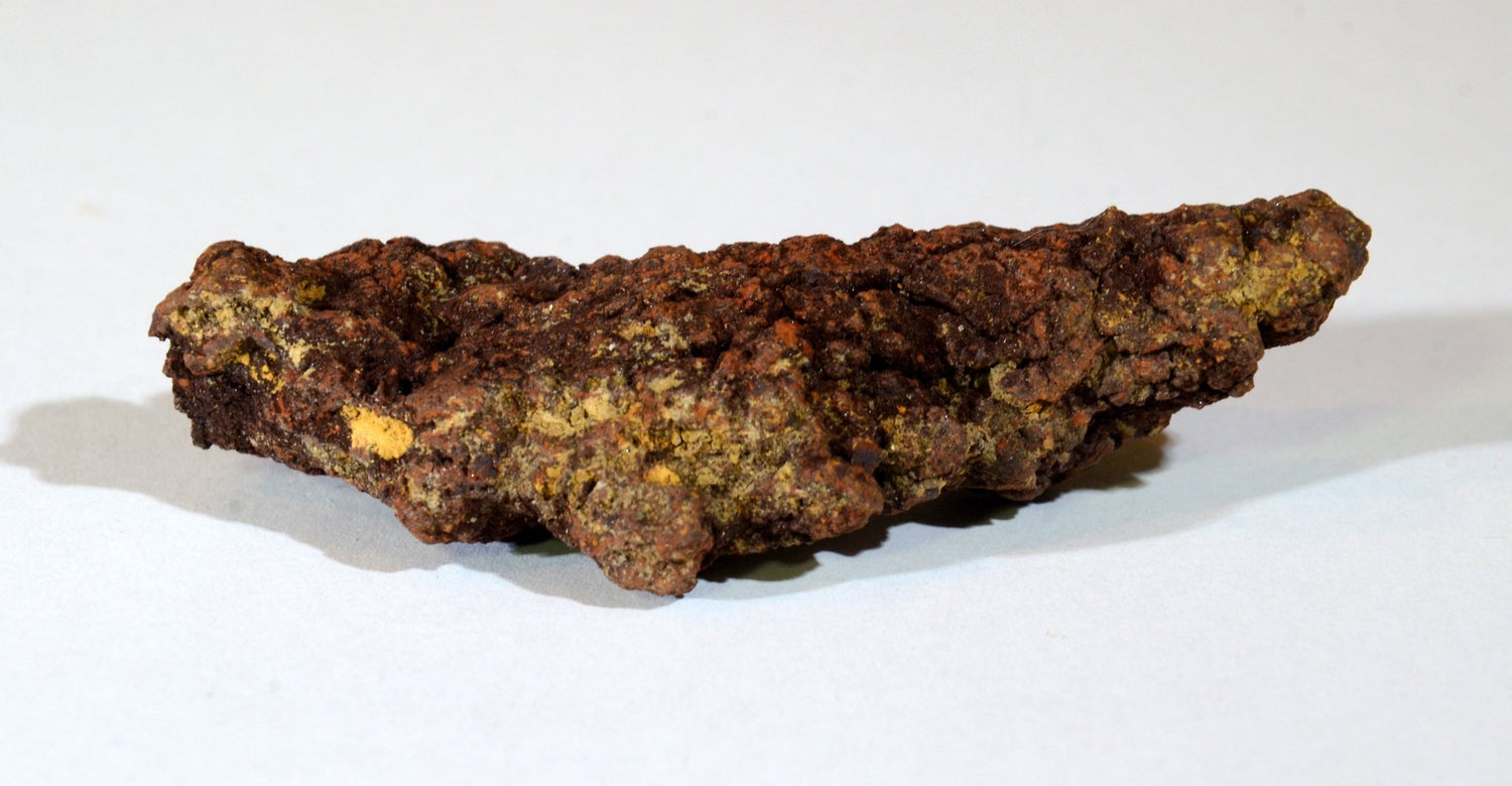 Coprolite - www.Crystals.eu