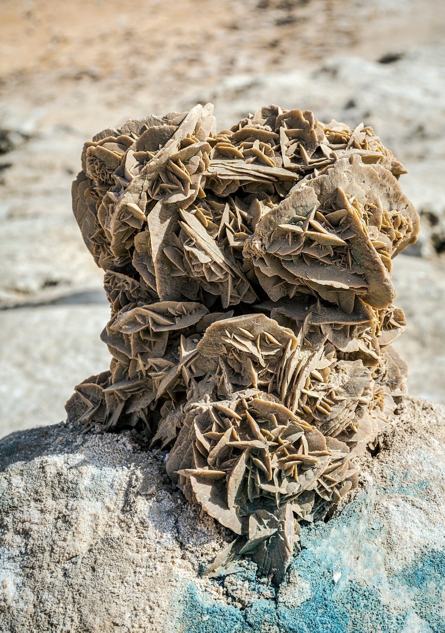 Desert rose stone - www.Crystals.eu