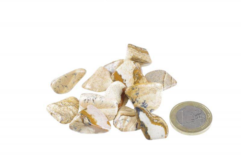 Picture jasper M